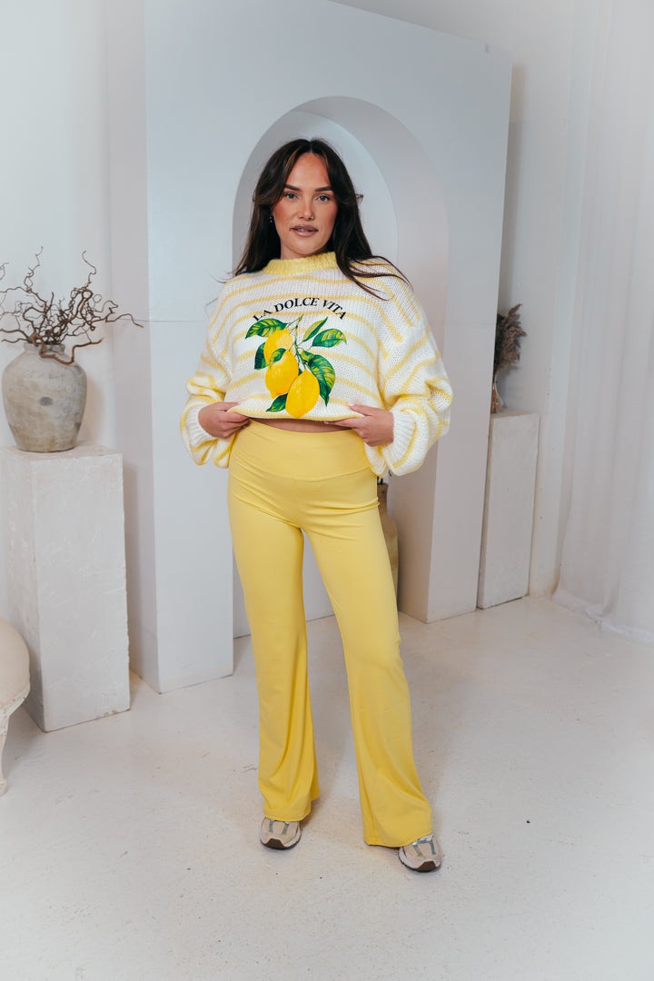 Pastel flared stretch flares