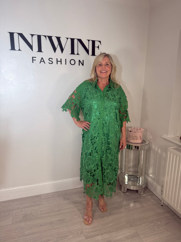 Vic Lace Lined Collared Dress