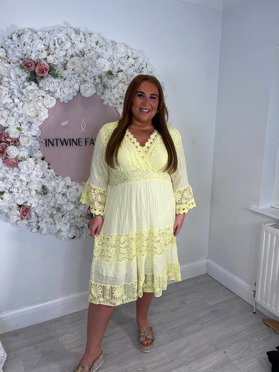 Plus Size Short Embroidery Dayna Dress